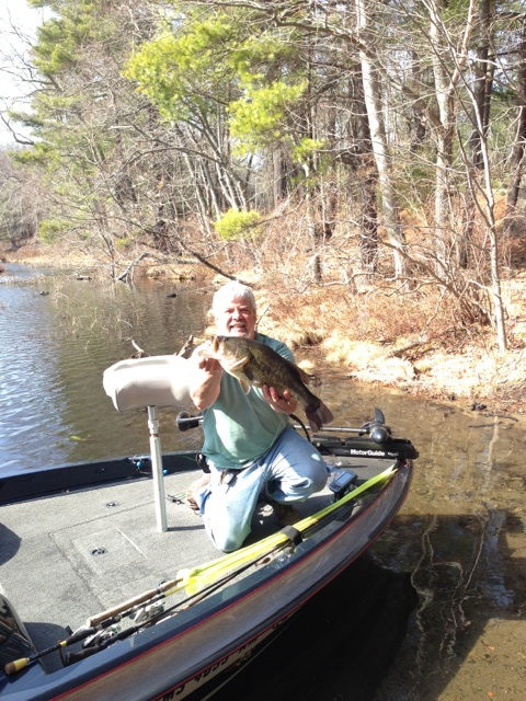 Lake Boone Gator