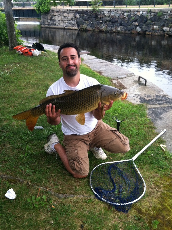 18 pound carp