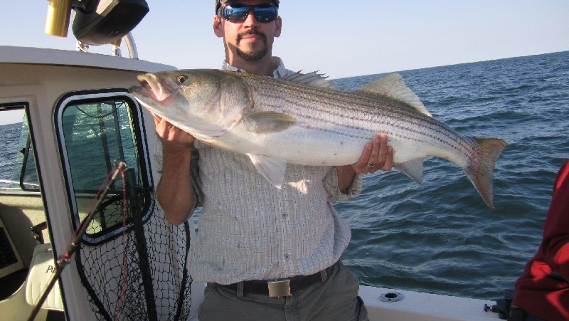 block island fishing