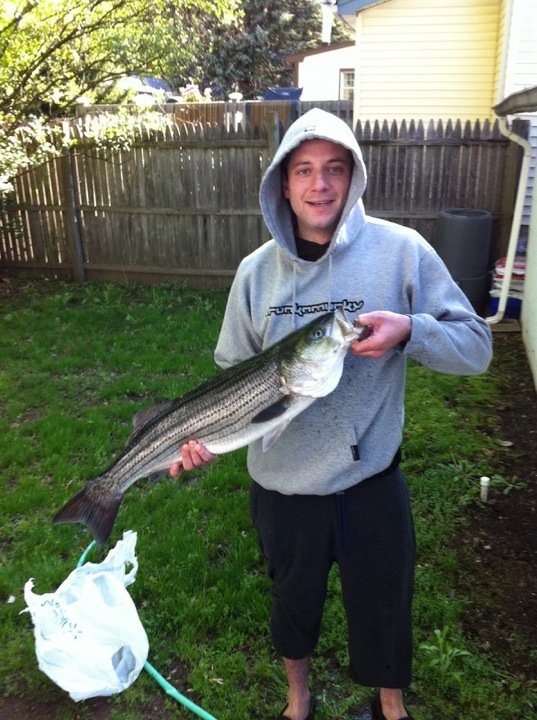 Striper 2